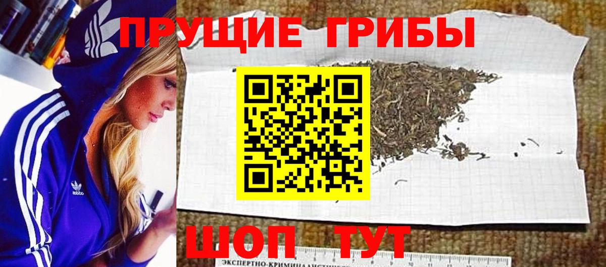 Псилоцибиновые грибы Cubensis  что такое наркотик  Зима  Вход с VPN  Псилоцибиновые грибы Psilocybe 